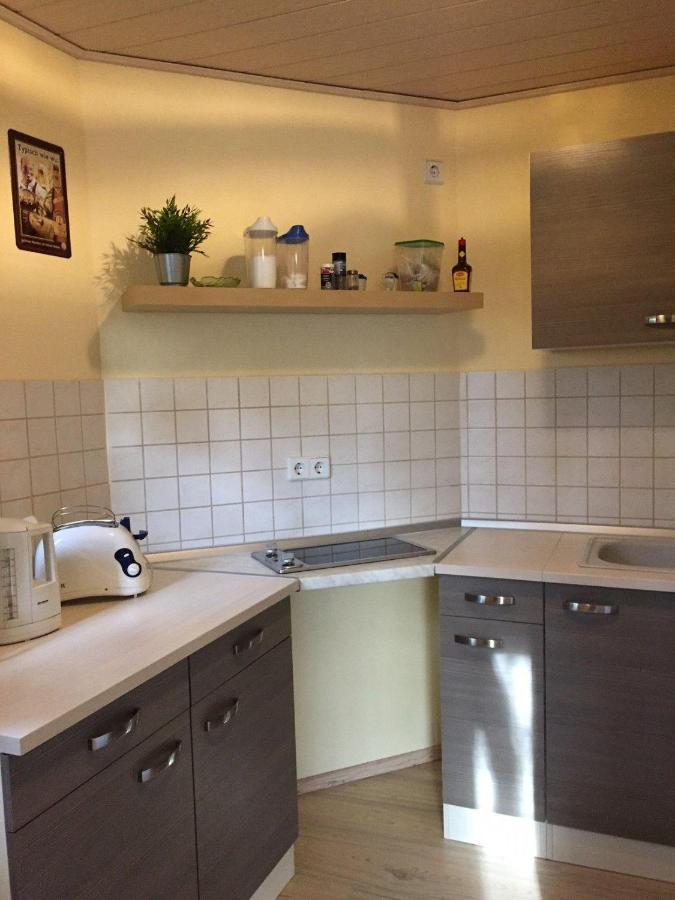 Ferienwohnung-Schmidt-2 Gelenau Dış mekan fotoğraf